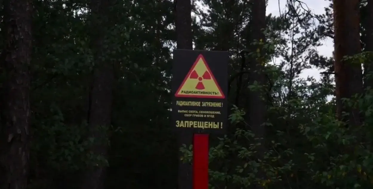В Полесском радиационном заповеднике сделают 104 километра просек за счёт России