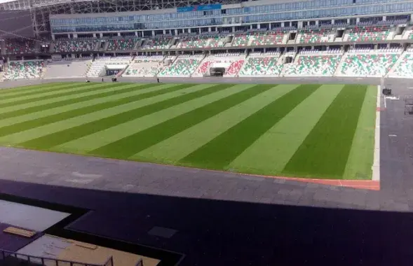 Прошло две недели: что там с газоном на стадионе “Динамо”?