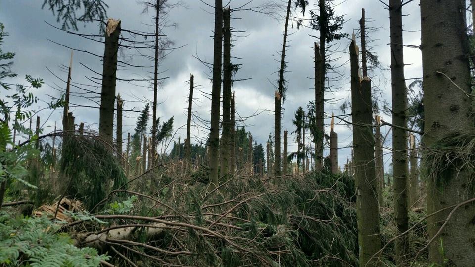 Супрацоўнік "Белэнерга": Такія высокавольтныя апоры не ламаліся гадоў 10-15