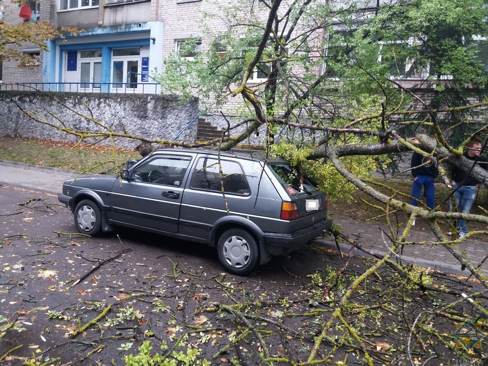 У Беларусі падлічваюць страты пасля цыклону "Фаб'ен" (фота)