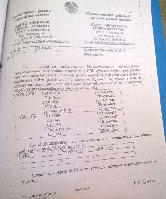 8-класнікаў на ўборку бульбы, дзе загінула дзяўчынка, паслала кіраўніцтва школы