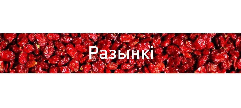 "Драздуны" і "шуняўкі". Слоўнік пратэстаў супраць "дэкрэта аб дармаедах"