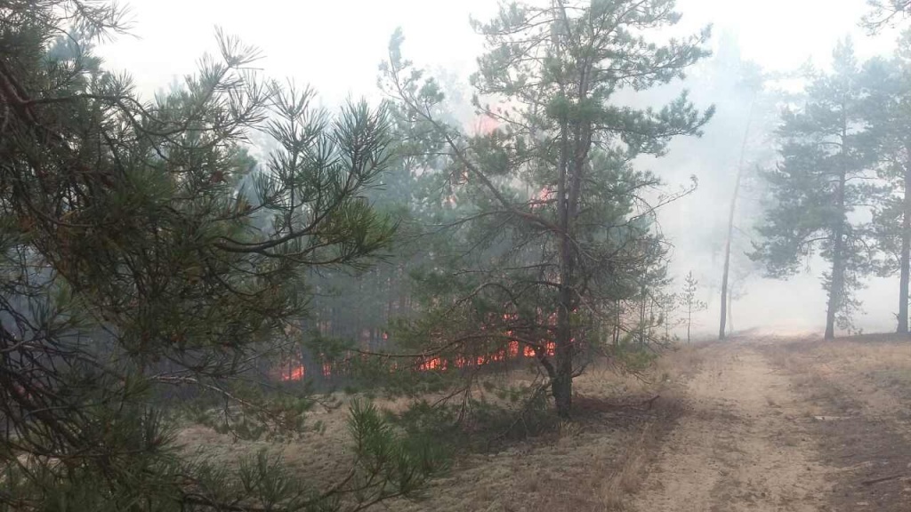 Пажар на Альманскіх балотах лакалізавалі