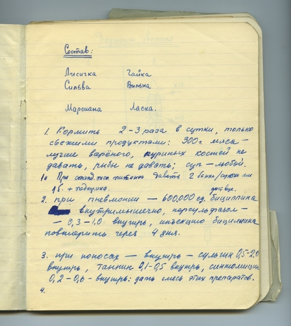 Созвездие псов. История нечеловеческого освоения космоса. Имена. Даты. Морды