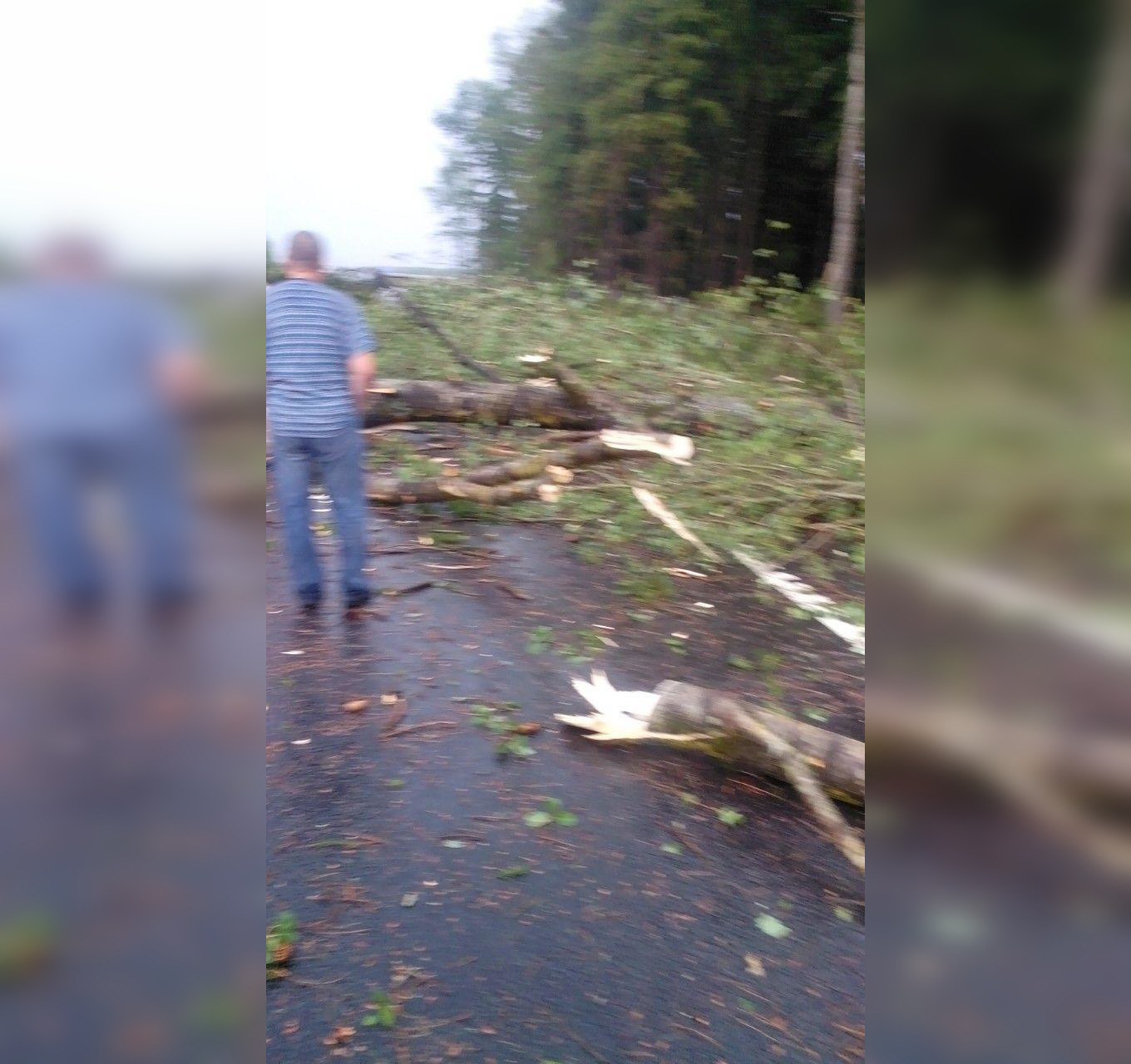 "Деревья падали на трассу". В 95 километрах от Минска прошёл смерч