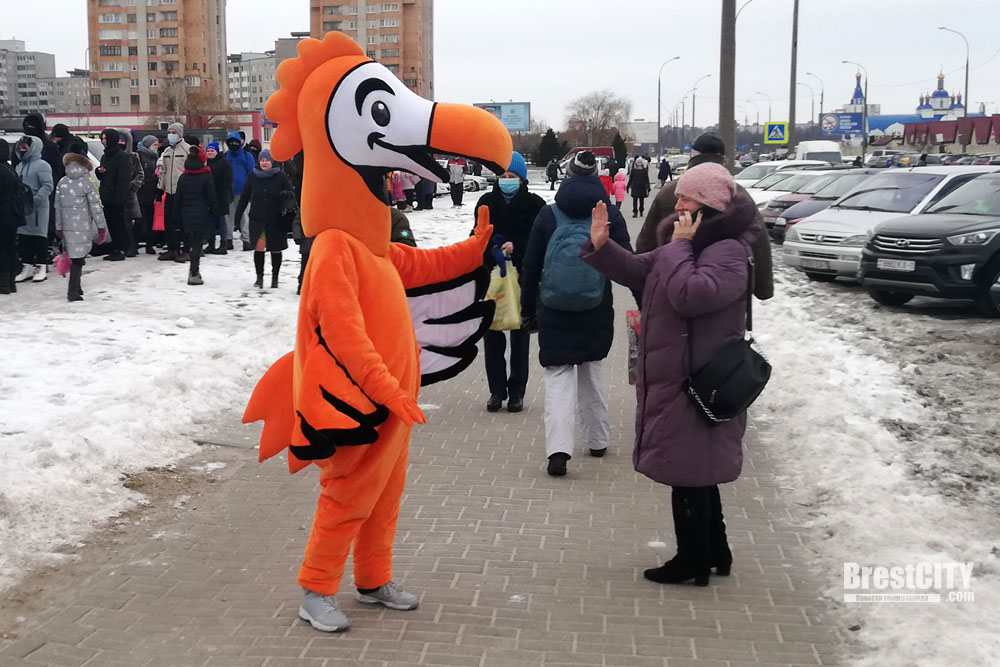 В Бресте в -14 за пиццей на скидке выстроилась очередь в 100 человек 