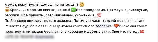 Белорусов просят взять зверушку из контактного зоопарка, но объявление — фейк