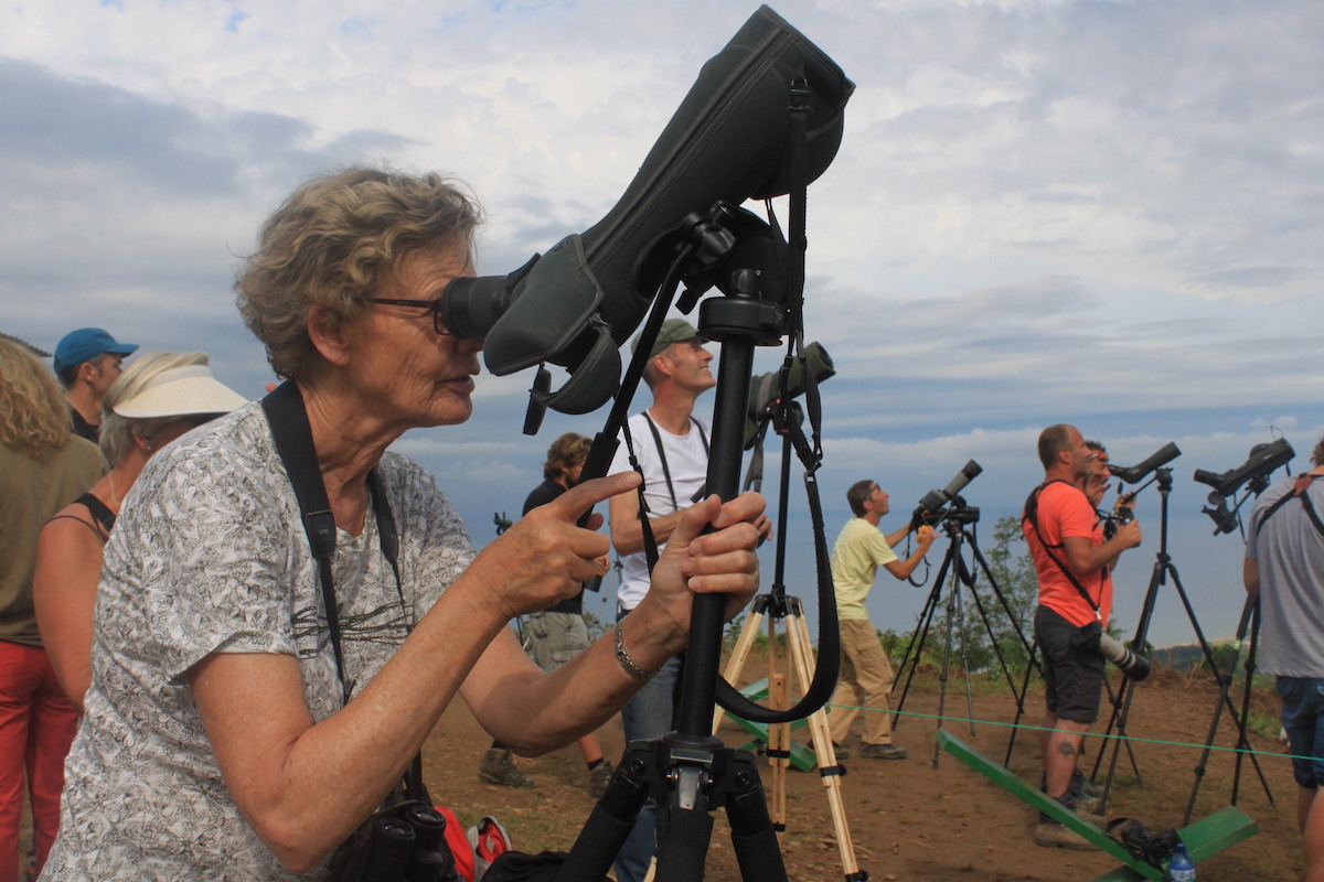 Birdwatching в Аджарии. Как птицы привлекают туристов