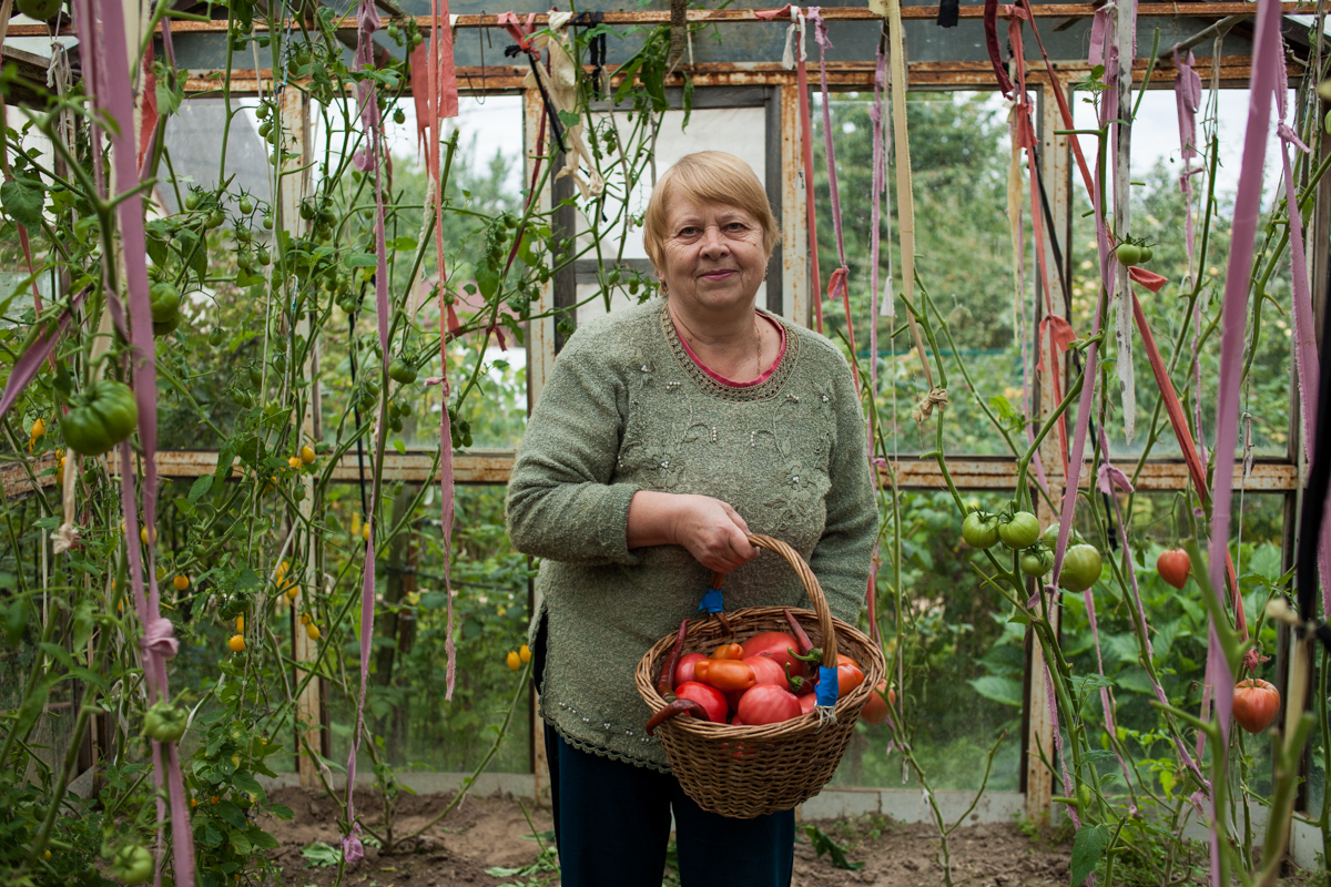 Што беларусы вырасцілі на дачах (фота)