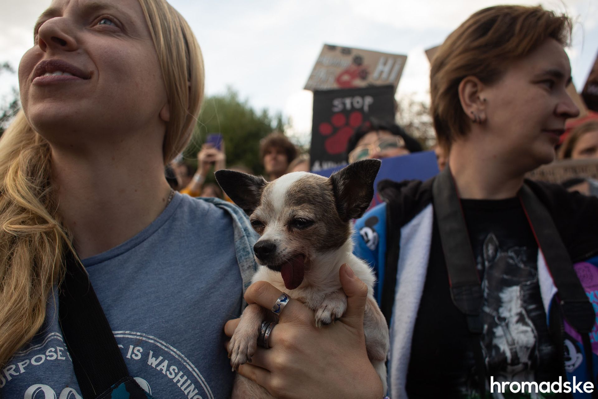 "Украина — гуманная страна": киевляне вышли на марш за животных