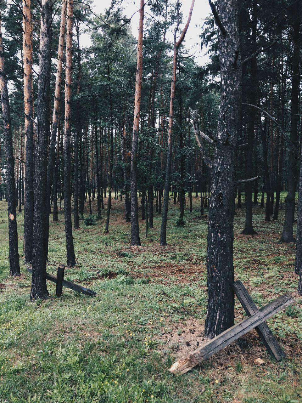 У Курапатах мяняюць старыя драўляныя крыжы на новыя металічныя (фота)