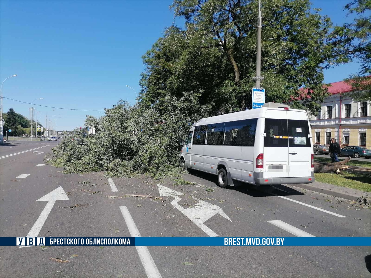 У Брэсце на маршрутку з пасажырамі ўпала дрэва