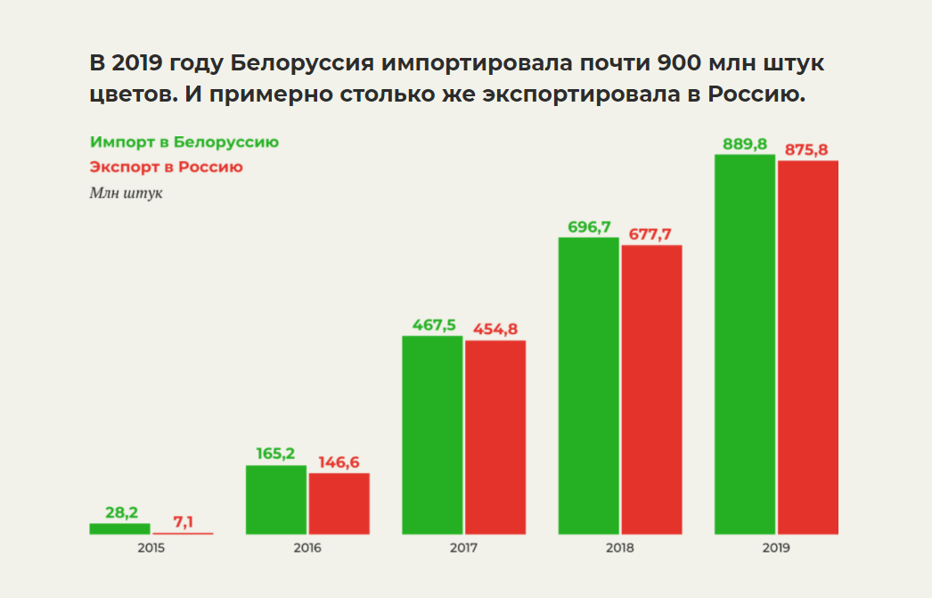 Как таможня оставила Россию на 14 февраля и 8 марта без цветов из Беларуси