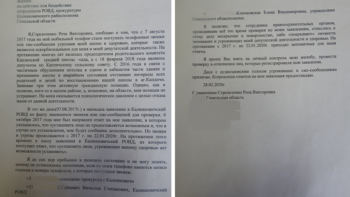 Депутат борется за школу в агрогородке, а ей угрожают психушкой