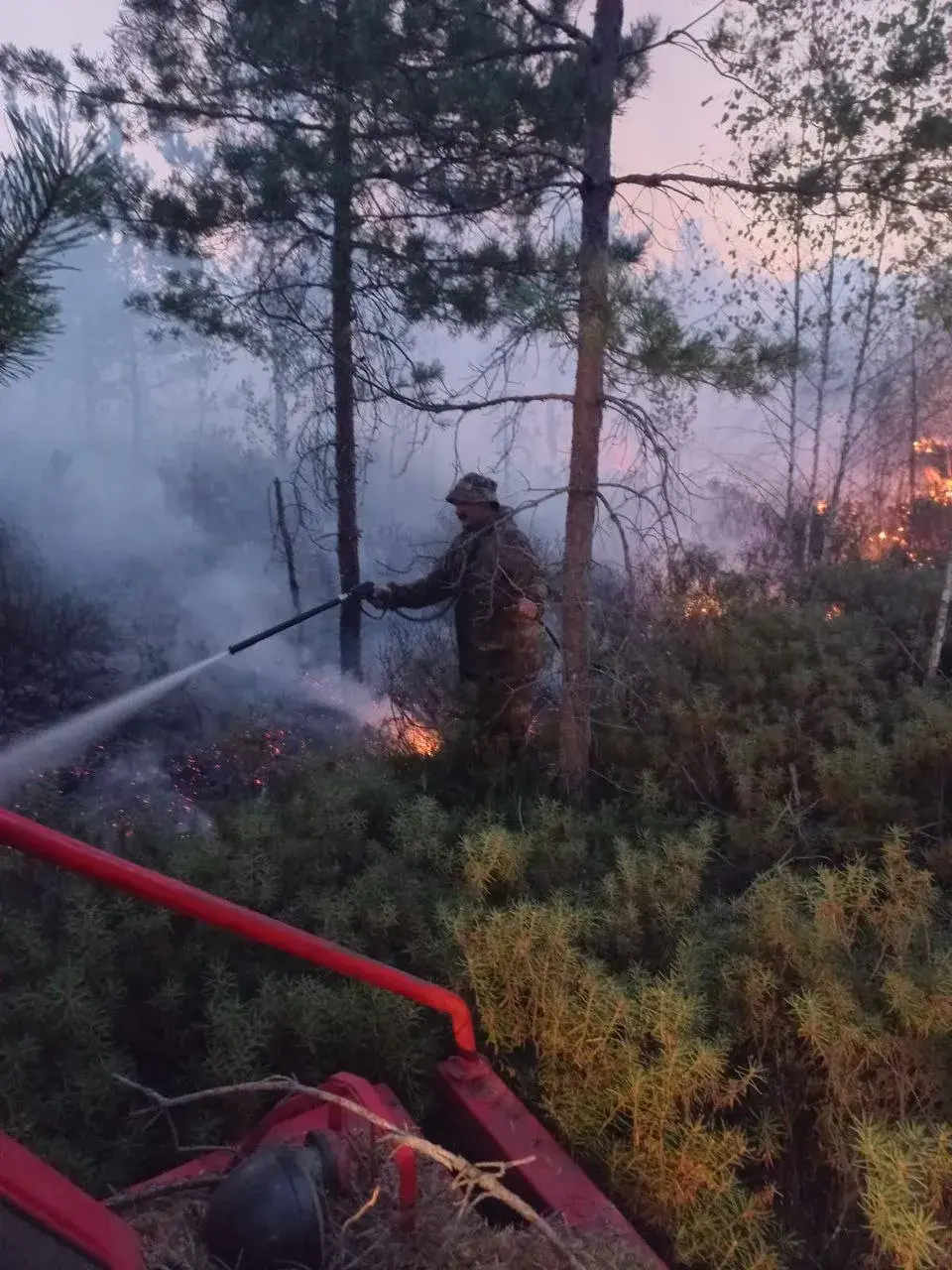 На Палессі працягваюць змагацца з буйным пажарам