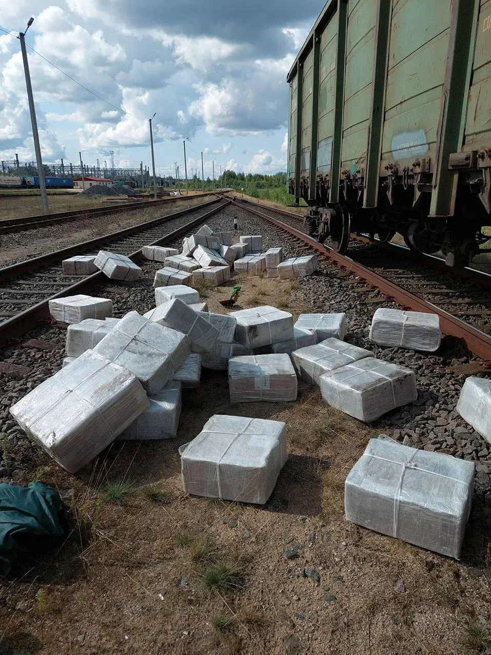 Літоўскія мытнікі знайшлі ў грузавым цягніку з Беларусі чарговую кантрабанду