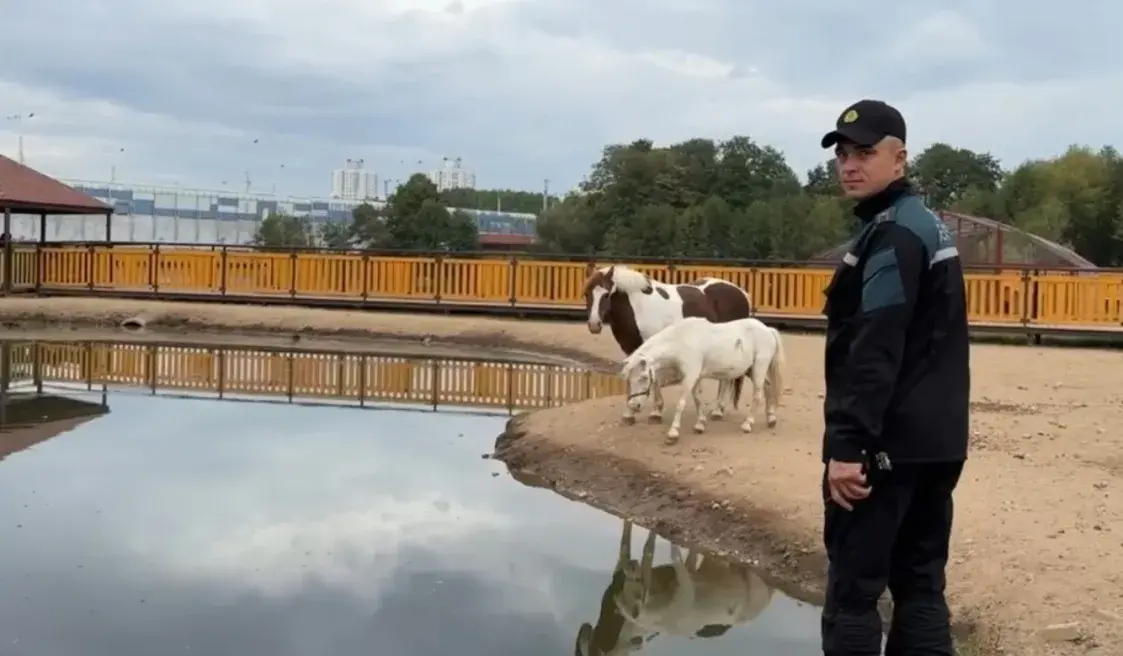 Пажар у Мінскім заапарку