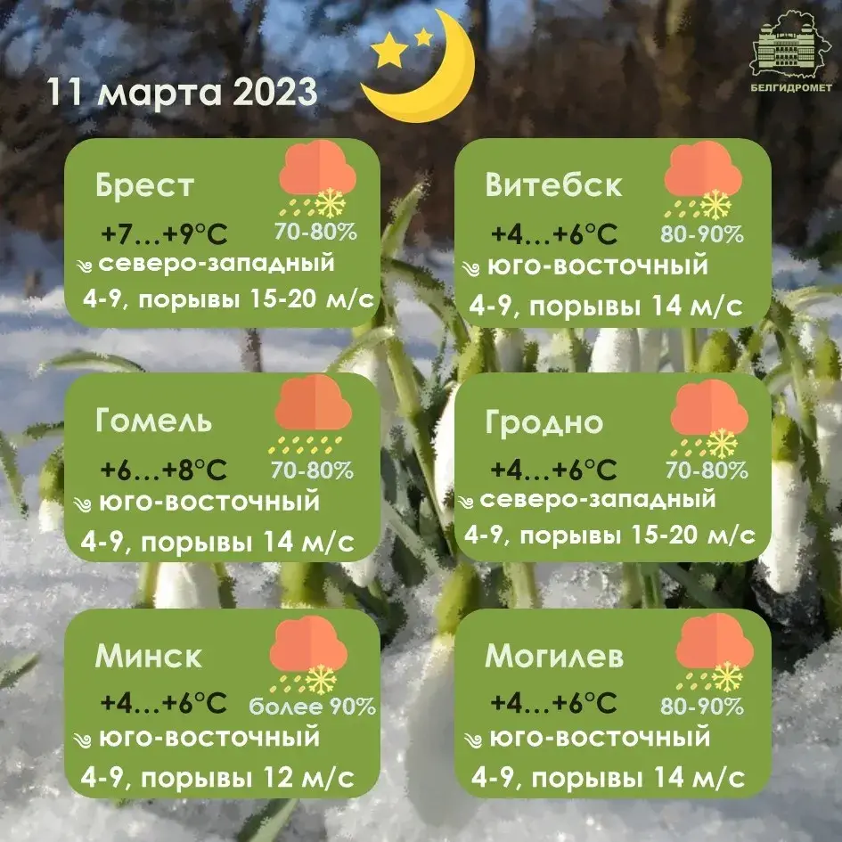 У суботу ў Беларусі зноў моцны снег, галалёд