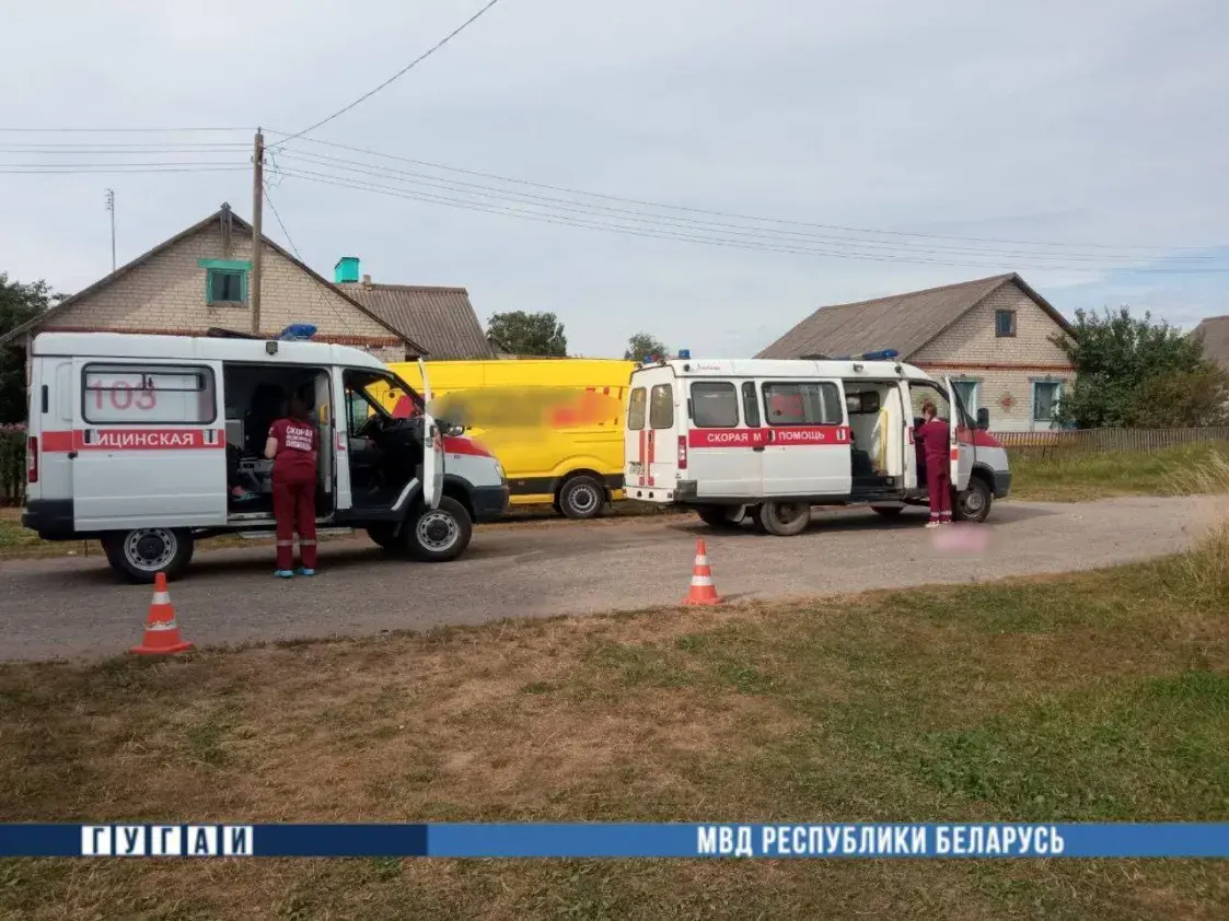 У Добрушскім раёне пад коламі мікрааўтобуса загінула дзіця