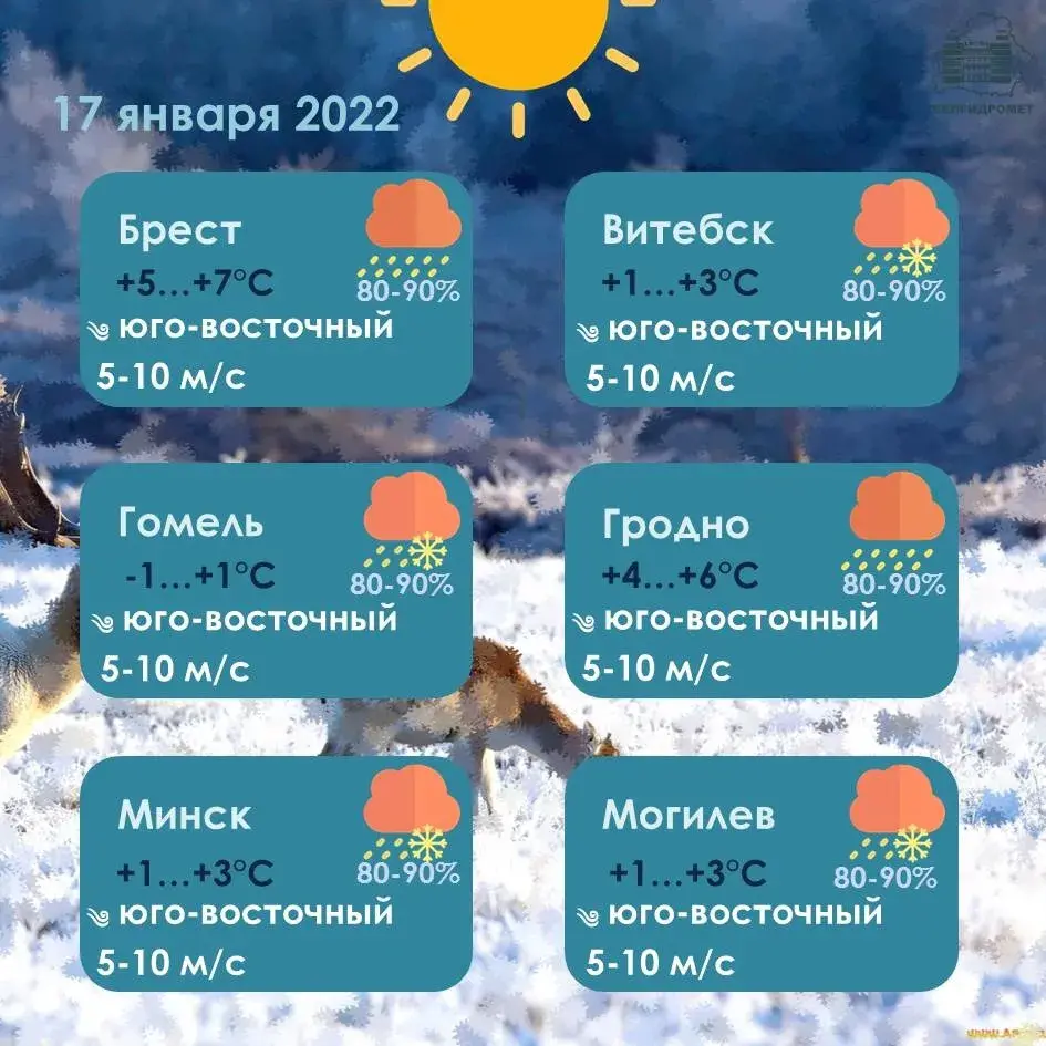 У аўторак у Беларусі будзе да +7, амаль па ўсёй краіне чакаюцца ападкі