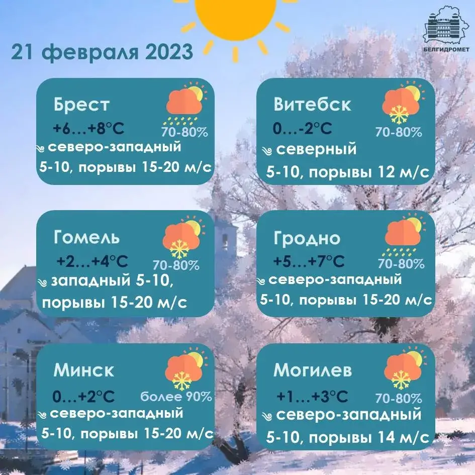 У аўторак амаль па ўсёй Беларусі будзе моцны вецер — месцамі да 24 м/с