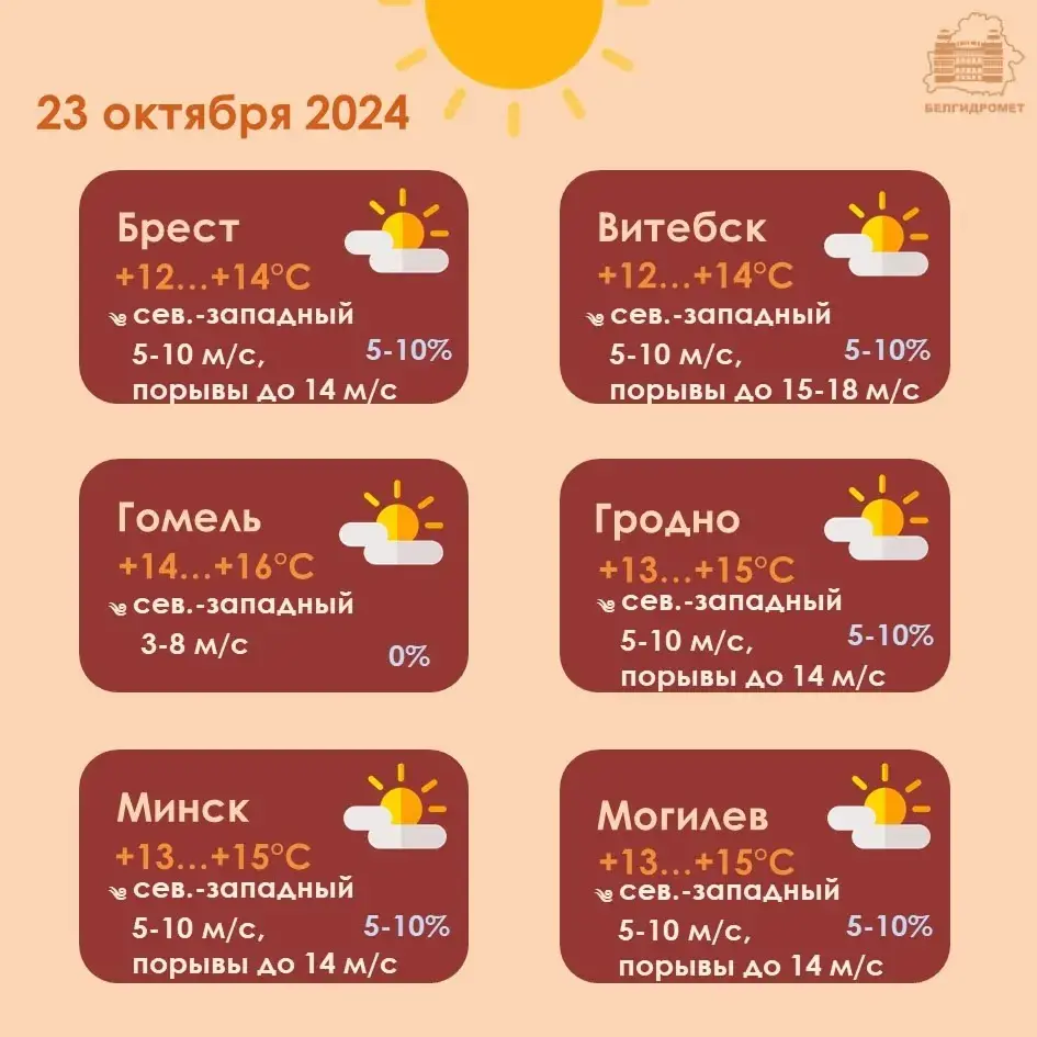 У сераду на поўначы Беларусі чакаецца моцны вецер — з парывамі да 20 м/с