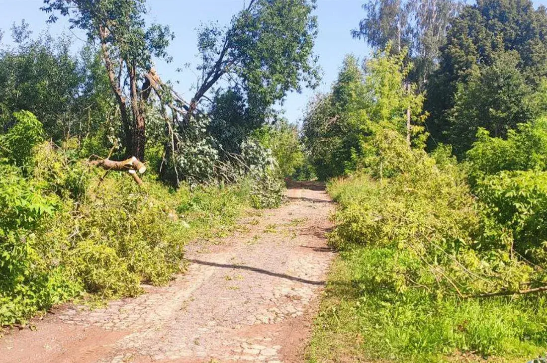 По Могилевской области пронесся ураган
