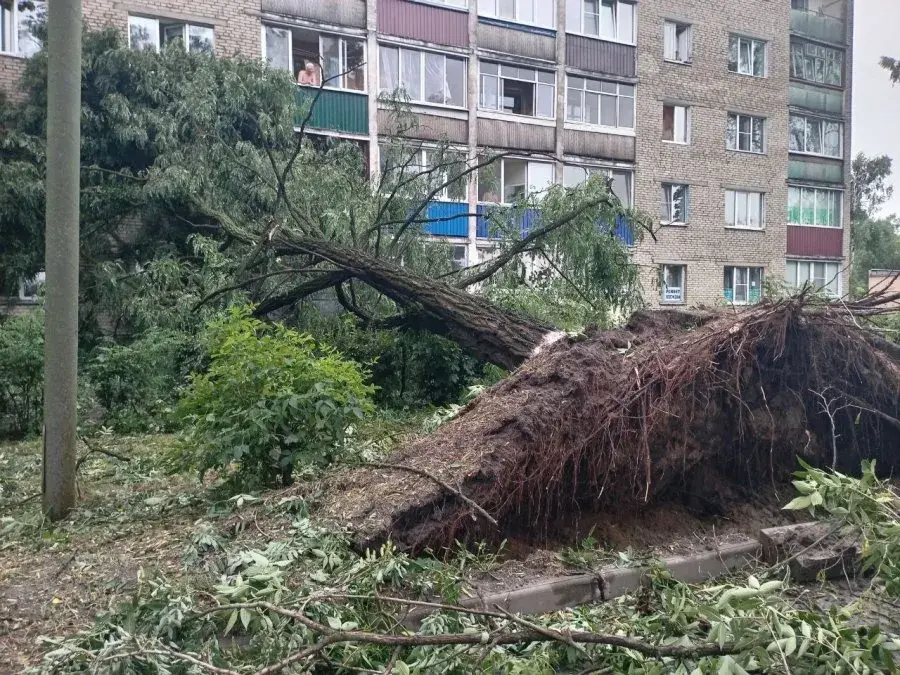 Выросло число жертв вчерашней непогоды на юге Беларуси 