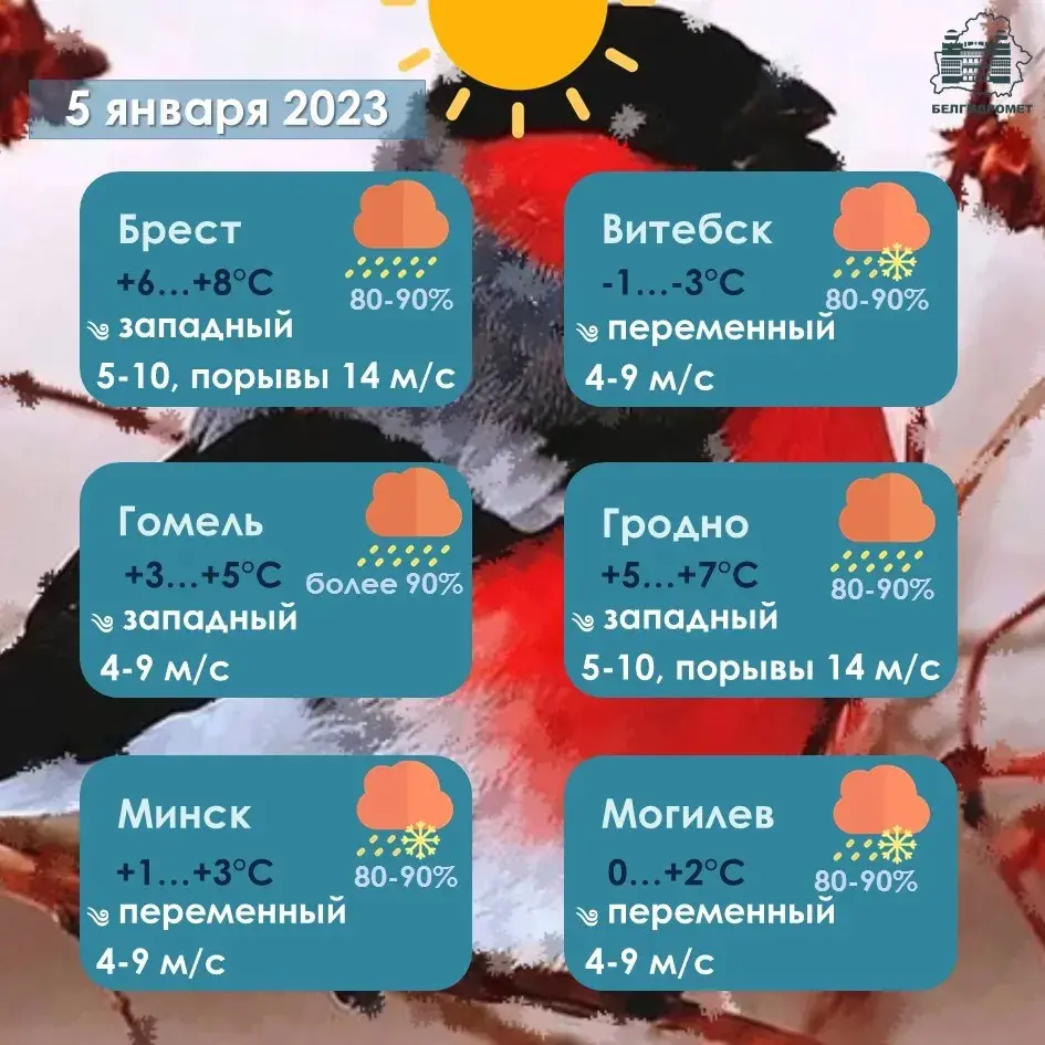 У чацвер чакаецца мокры снег і пахаладанне па поўначы Беларусі