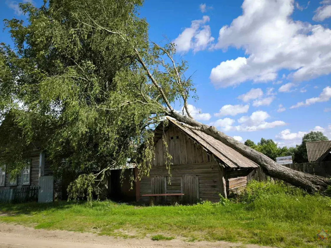 В Зельвенском районе из-за непогоды упала вышка сотовой связи