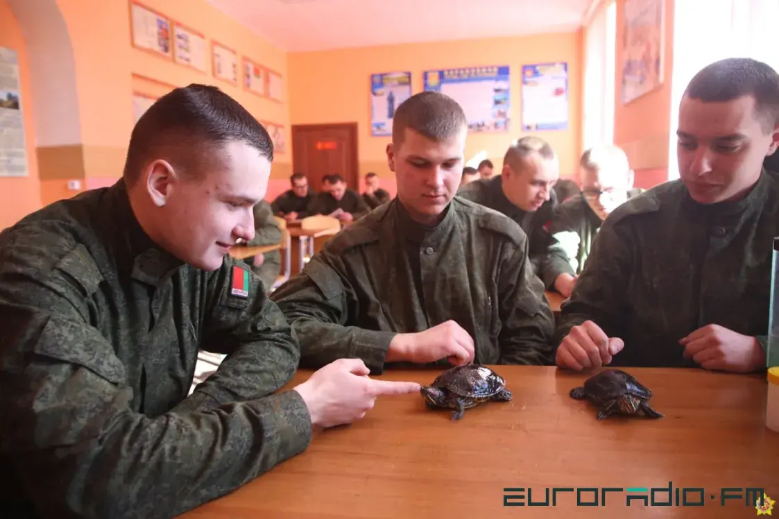 Какие реформы нужны белорусской армии? Рассказ офицера о проблемах в войсках