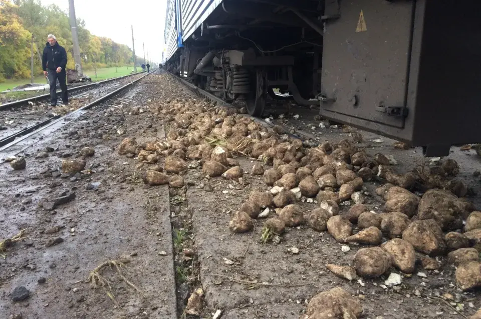 Цягнік Брэст-Мінск збіў машыну з буракамі, што захрасла на пераездзе