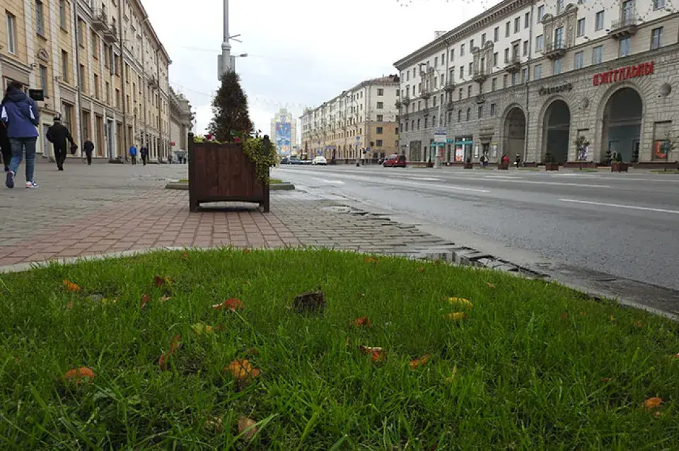 Чаму цэнтральны праспект у Мінску палысеў: “Расліны загінулі з-за рэагентаў"