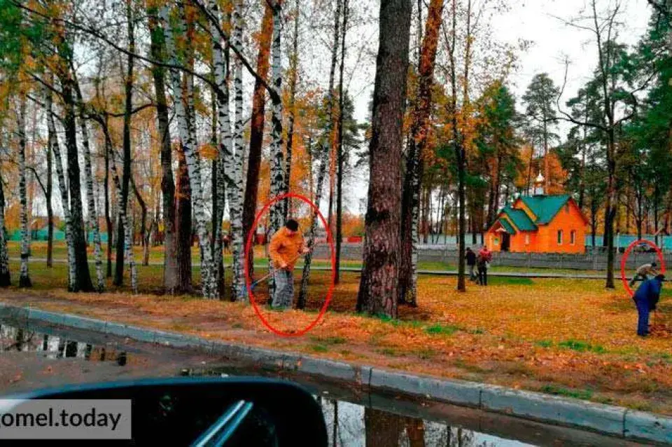 СМІ: У Гомелі вуліцы прыбіраюць пацыенты псіхіятрычнай лякарні