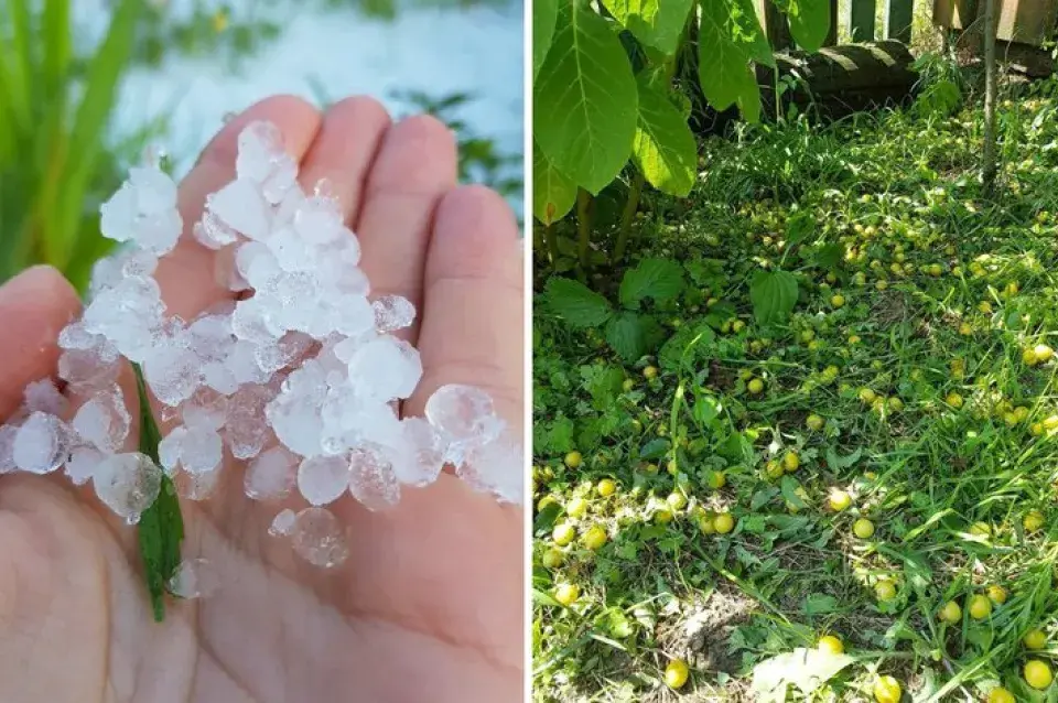 Моцны град засыпаў гароды ў Петрыкаўскім раёне (фота, відэа)