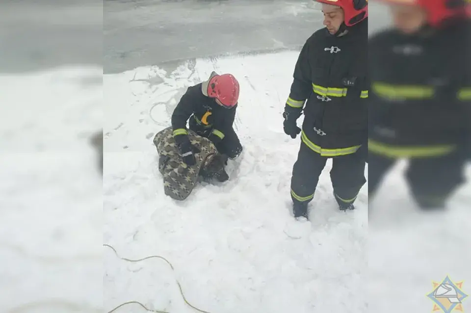 Ратавальнікі выцягнулі са Свіслачы сабаку і шукаюць гаспадара (фота, відэа)