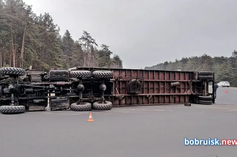 Грузавік са свіннямі перакуліўся ў Бабруйску па дарозе на мясакамбінат