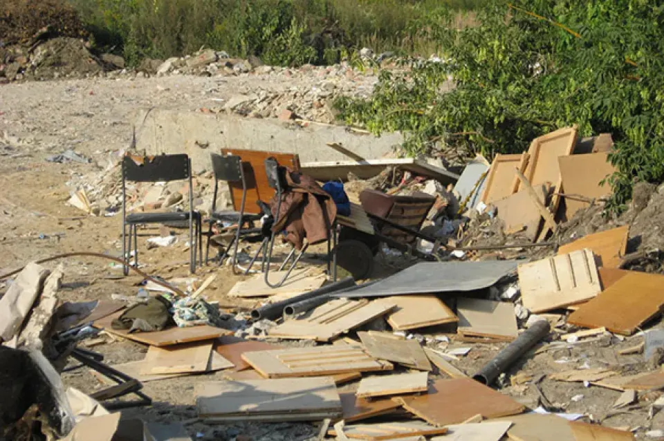 З завода ў Барані вывезлі "дохлых пацукоў", якіх пабачыў Лукашэнка (фота)