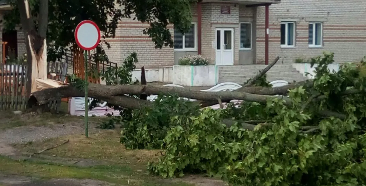 "Тарнада" ў Драгічыне (фота, відэа)