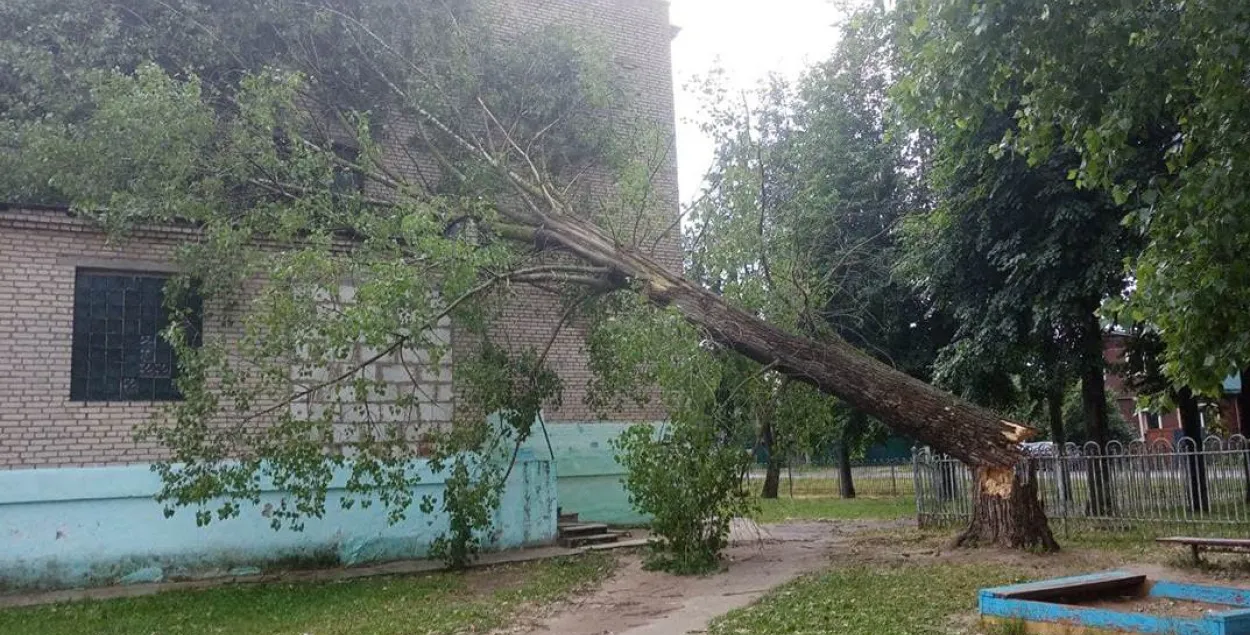 Стыхія ў Магілёве: шквалісты вецер ламаў дрэвы