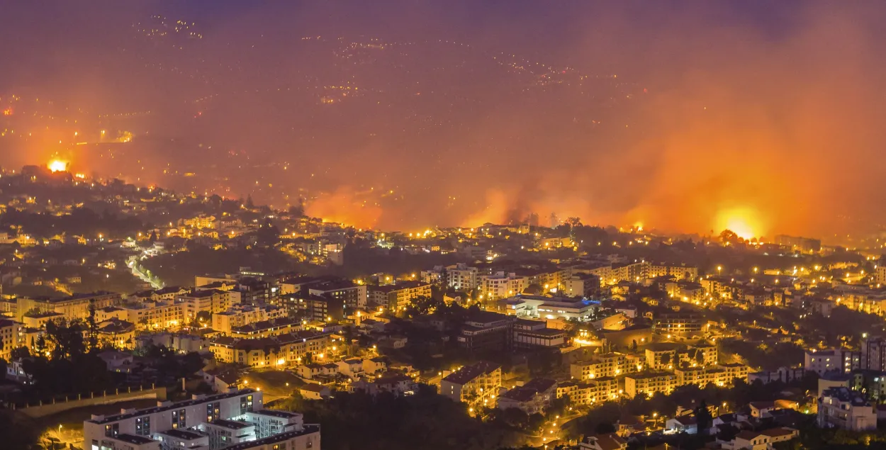 Гарыць партугальская Мадэйра — фота