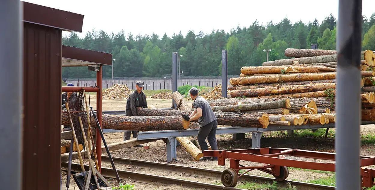 Ряд мебельных гигантов финансируют режим Лукашенко, закупая древесину, заготовленную в колониях Беларуси / intex-press
&nbsp;
