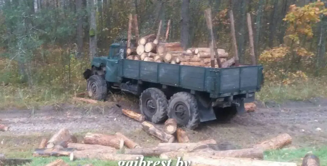 У Лунінецкім раёне легкавік трапіў пад грузавік з бярвеннем (фота)