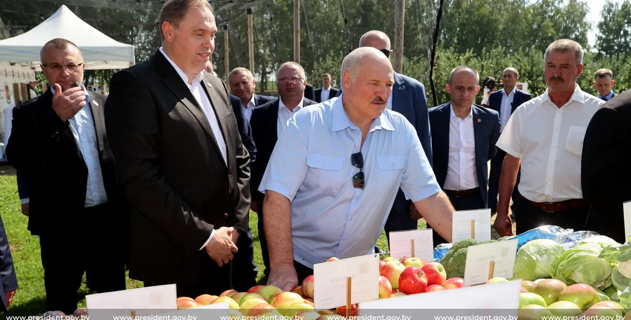 Міністр тлумачыў на тэлебачанні, чаму польскія яблыкі таннейшыя за беларускія