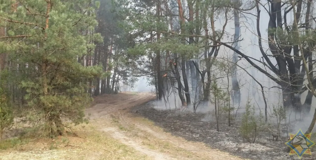 Каля Брэста ліквідавалі вялікі пажар, які набліжаўся да газавай запраўкі