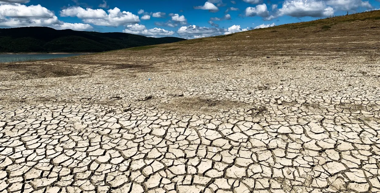 Грузия, Сионское водохранилище, август 2019 /&nbsp;&nbsp;Диана Петриашвили /&nbsp;&quot;Медиасеть&quot;