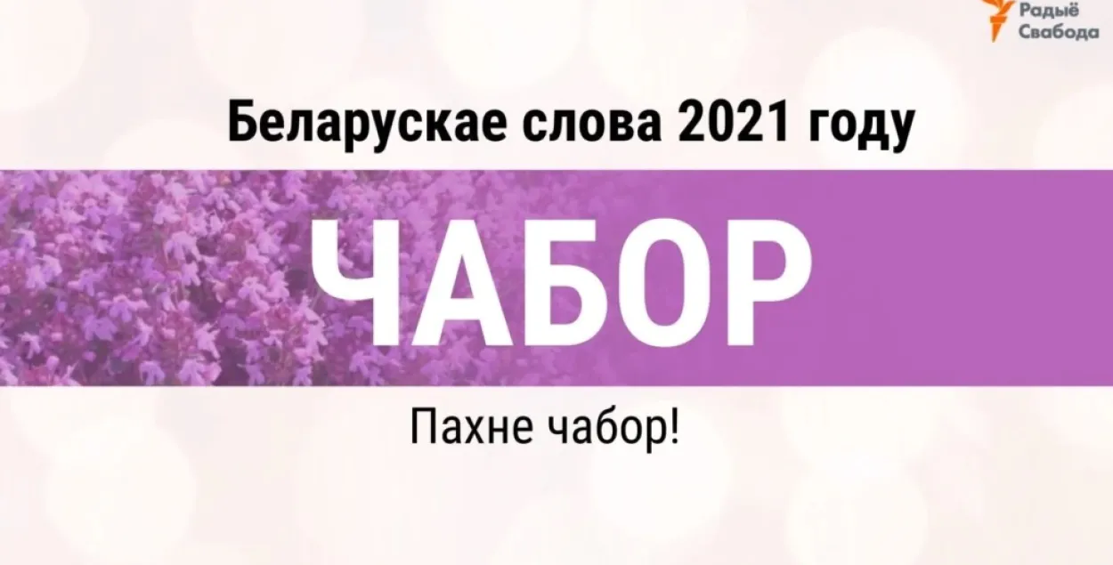 &quot;Пахне чабор!&quot; / Радио Свобода