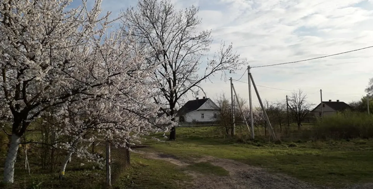 Вясна на Палессі / Еўрарадыё