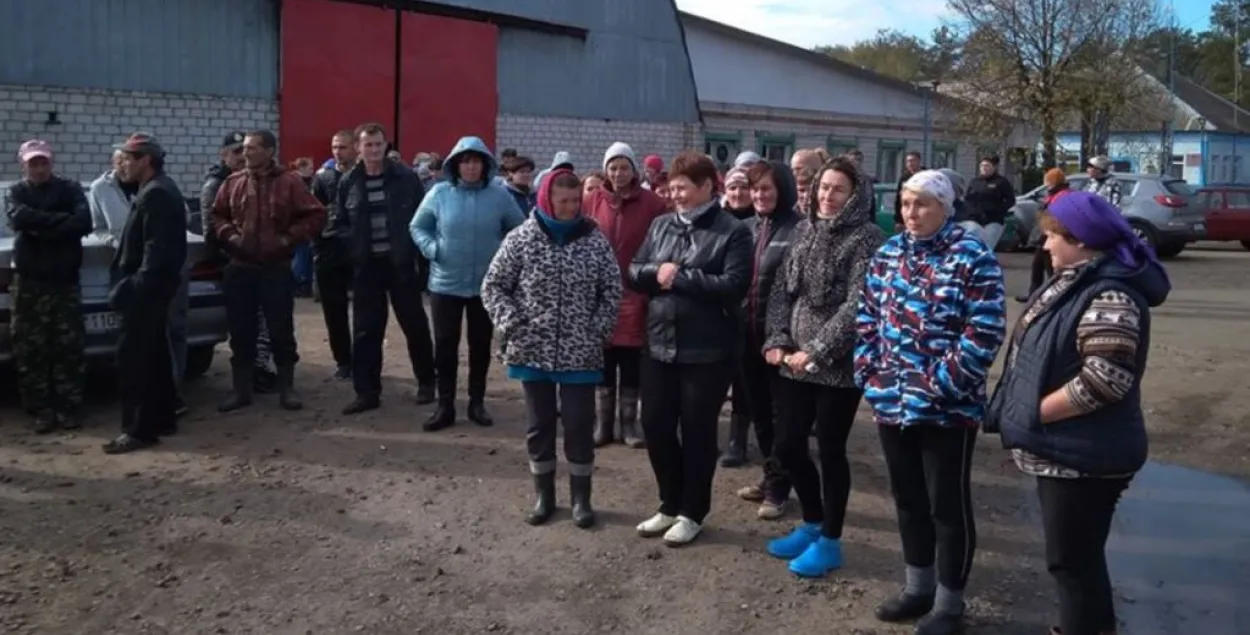  Вяскоўцы пратэставалі супраць звальнення дырэктара сельгаспрадпрыемства