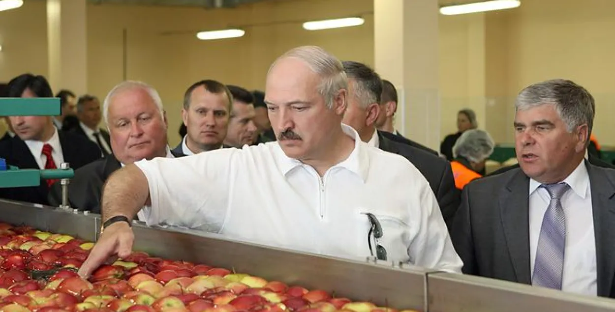 Рассельгаснагляд знайшоў сальманэлу ў мясе птушак з узорнай гаспадаркі Лукашэнкі